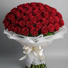 Букет 101 Красная роза Блэк Мэджик в Лабытнангах