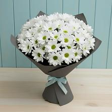 Букет цветов из:  Хризантемы в Лабытнангах