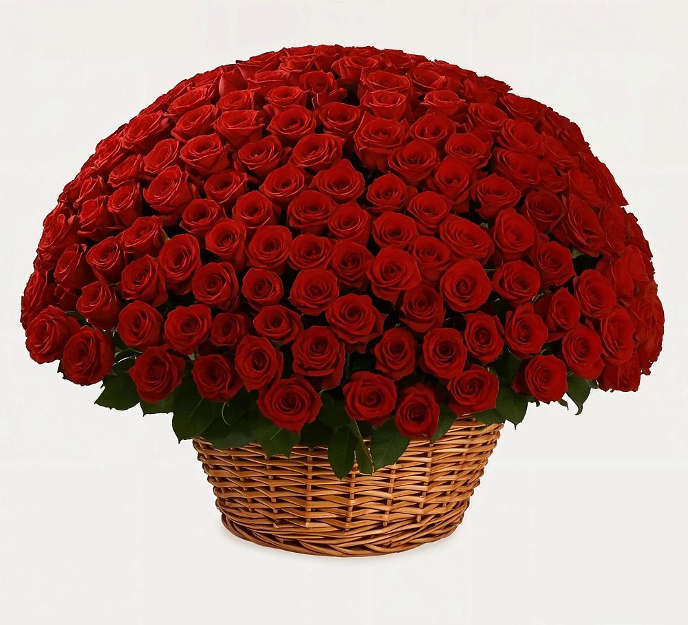 Премиум букет из: Розы в Лабытнангах