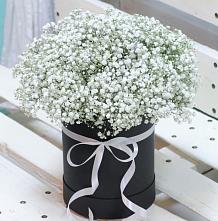 Цветочная композиция из Гипсофила в шляпной коробке #REPLACE_PRED# Лабытнангах