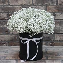 Цветочная композиция из Гипсофила в шляпной коробке в Лабытнангах