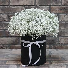 Цветочная композиция из Гипсофила в шляпной коробке в Лабытнангах