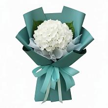 Букет цветов из:  Гортензия в Лабытнангах